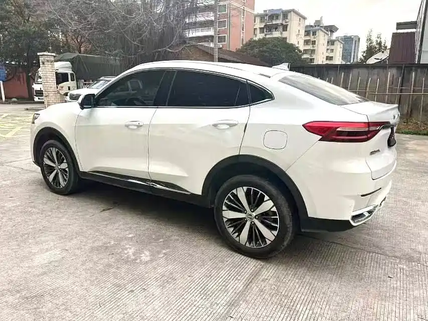 Фото 9 - Haval F7x