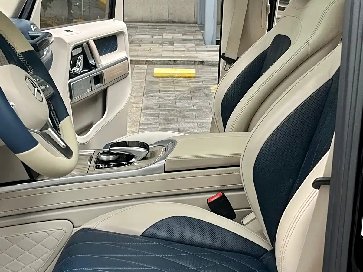 Mercedes-Benz G-Class 2020 G 500 Time Inscription Special Edition фото 13