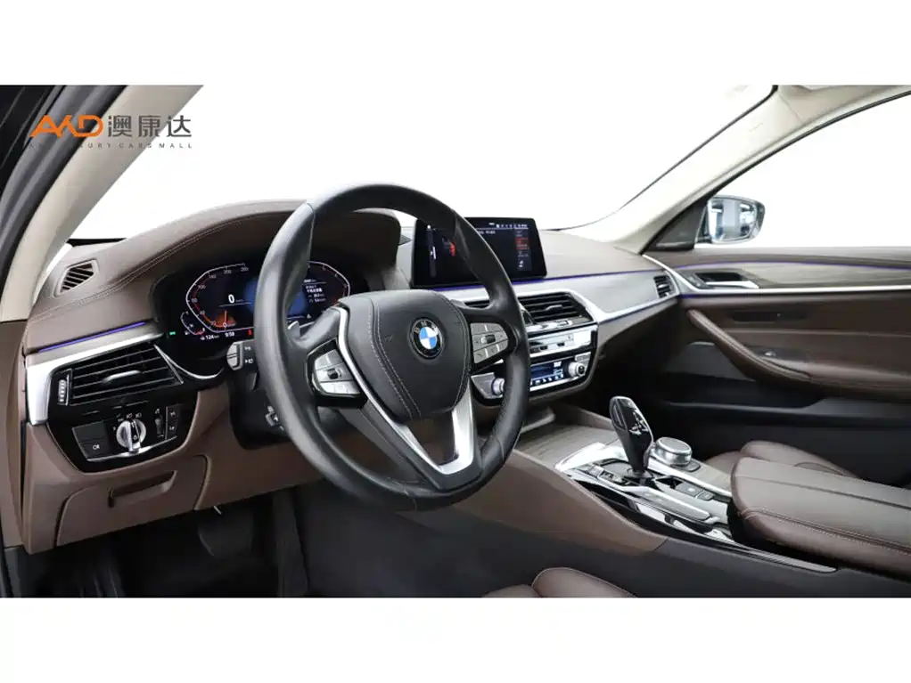 BMW 5 Series 2020 530Li Premium Luxury Package фото 6