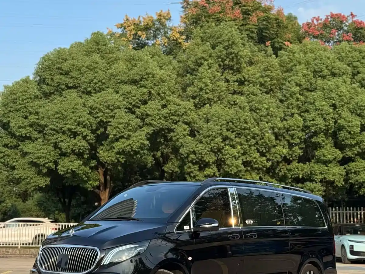 Mercedes-Benz Vito 2021 2.0T Elite 7-Seater фото 2