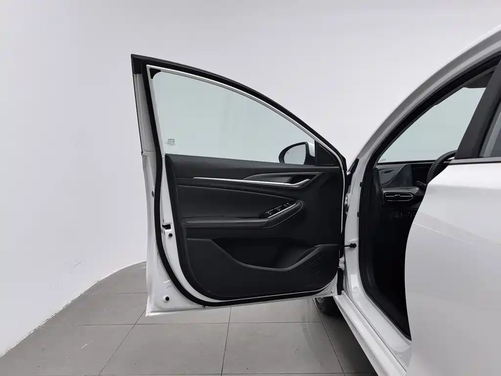 Фото 8 - Changan Eado