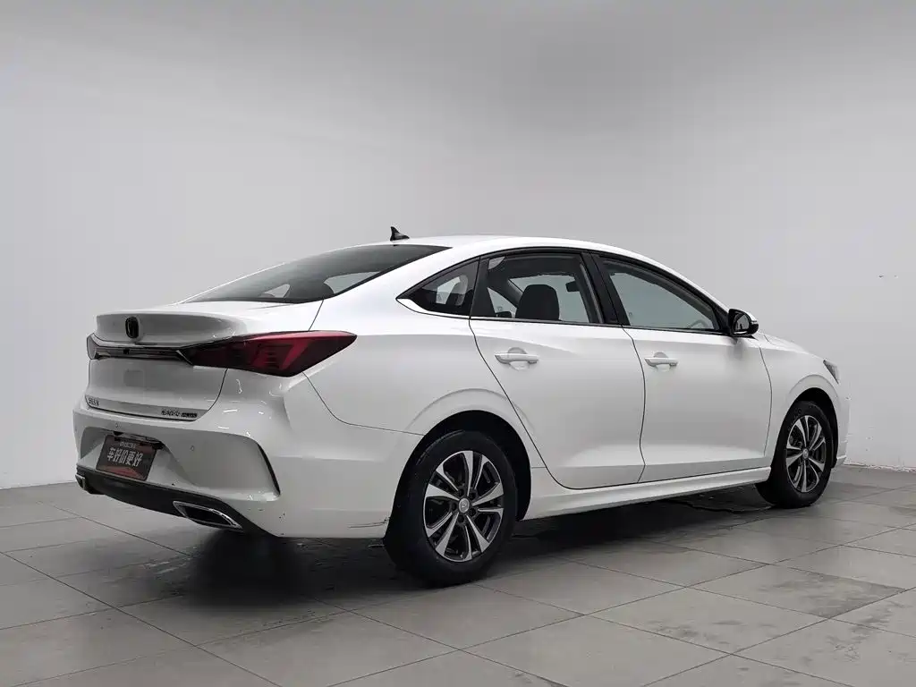 Фото 2 - Changan Eado