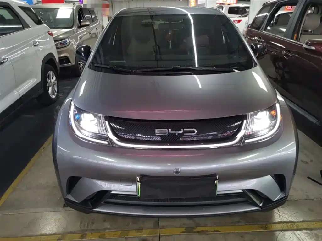 BYD Dolphin 2023 420km Freedom Edition фото 3