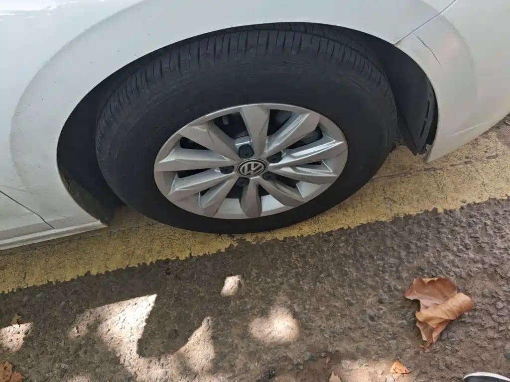 Фото 24 - Volkswagen Bora