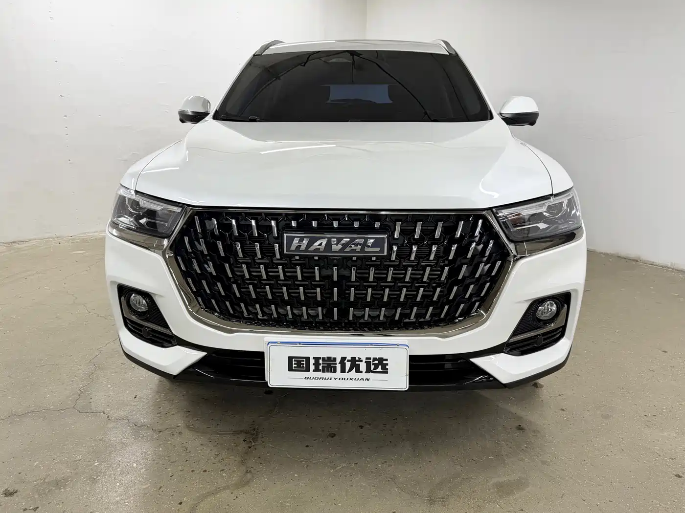 Haval H6 2023 National Trend Edition 1.5T Automatic Champion фото 2