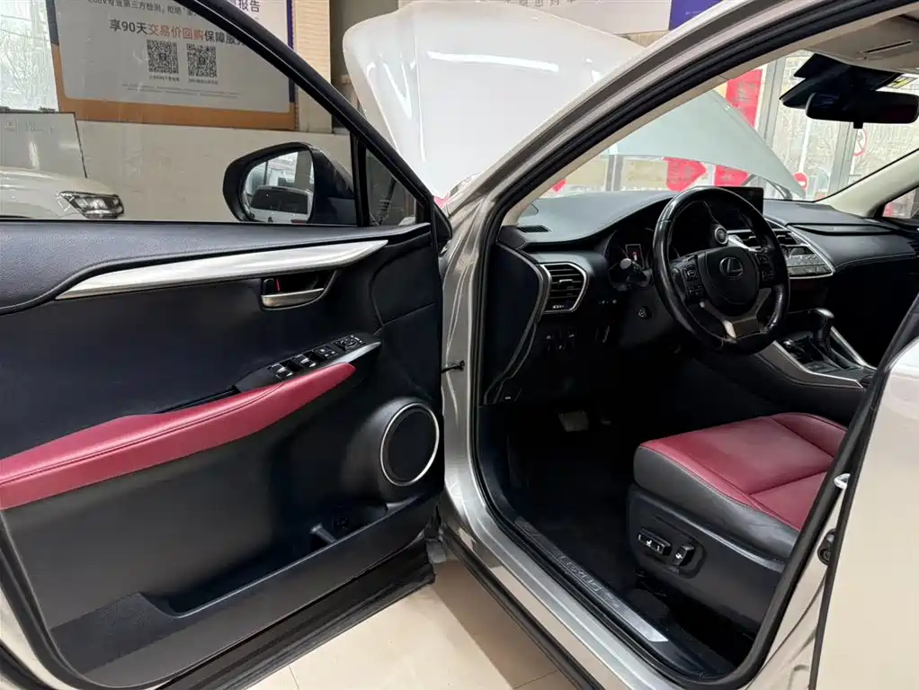 Lexus NX 2020 200 AWD F Sport China VI фото 8