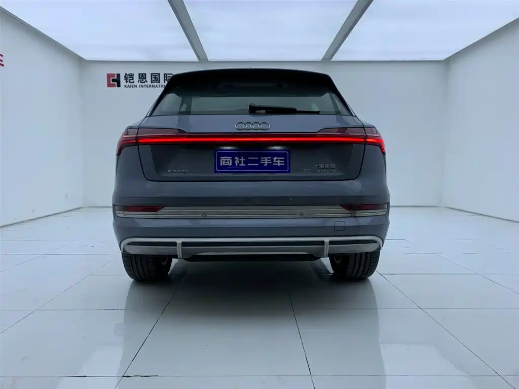 Audi e-tron 2021 50 quattro Luxury фото 4