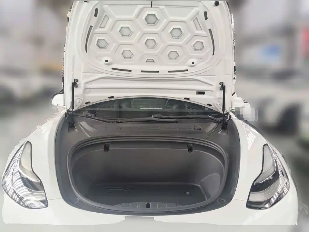 Tesla Model 3 2020 2019 Standard Range Rear-Wheel Drive Upgrade
