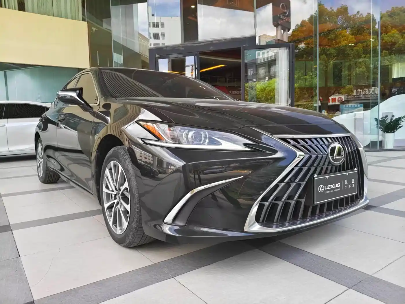 Lexus ES 2023 200 Excellence Edition фото 3