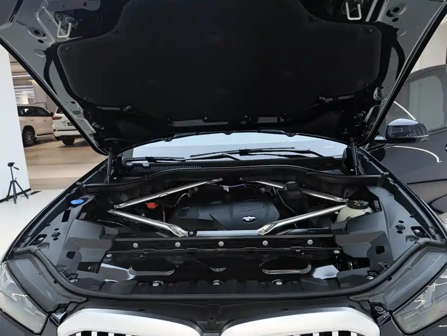 BMW X5 2023 xDrive 30Li Premium M Sport Black Night Package фото 12