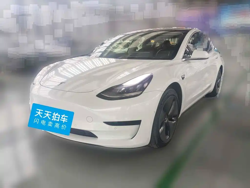 Tesla Model 3 2020 2019 Standard Range Rear-Wheel Drive Upgrade