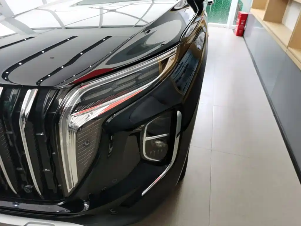 Photo 24 - Hongqi HS7 PHEV