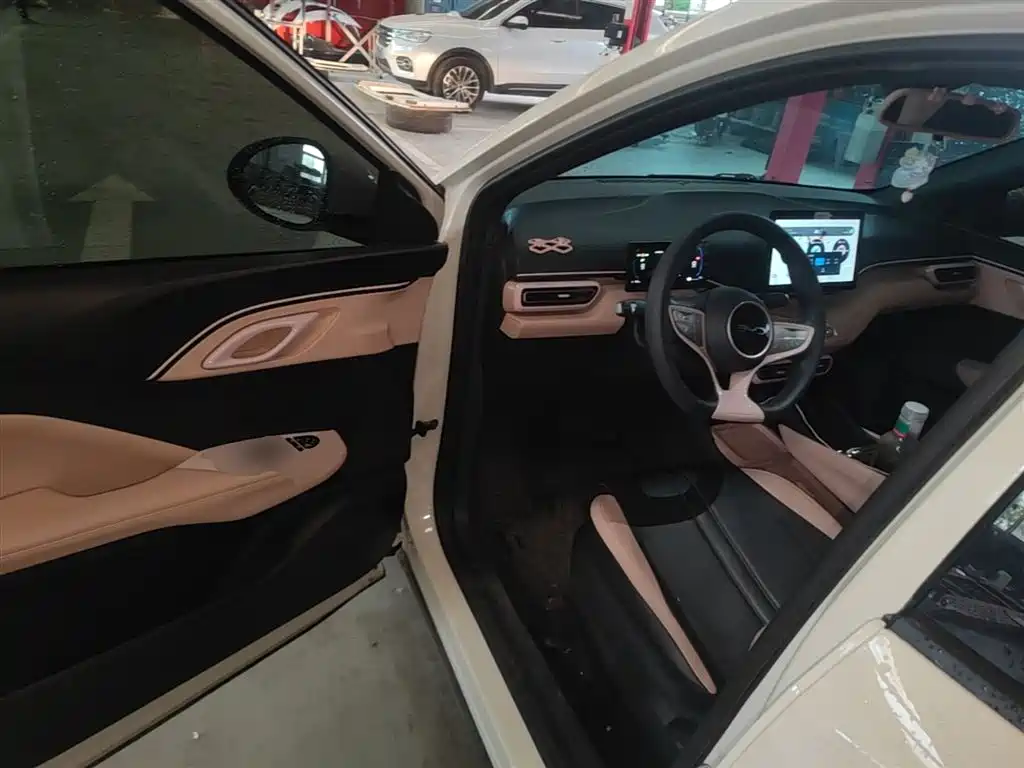 BYD Seagull 2025 Smart Drive Edition 305km Vitality Version фото 16