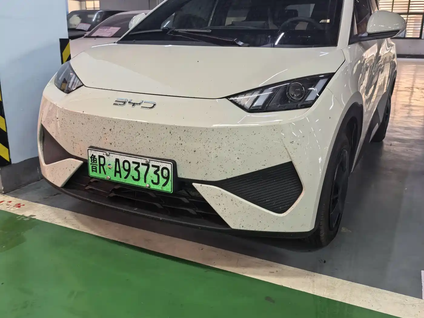 BYD Seagull 2025 305km Freedom
