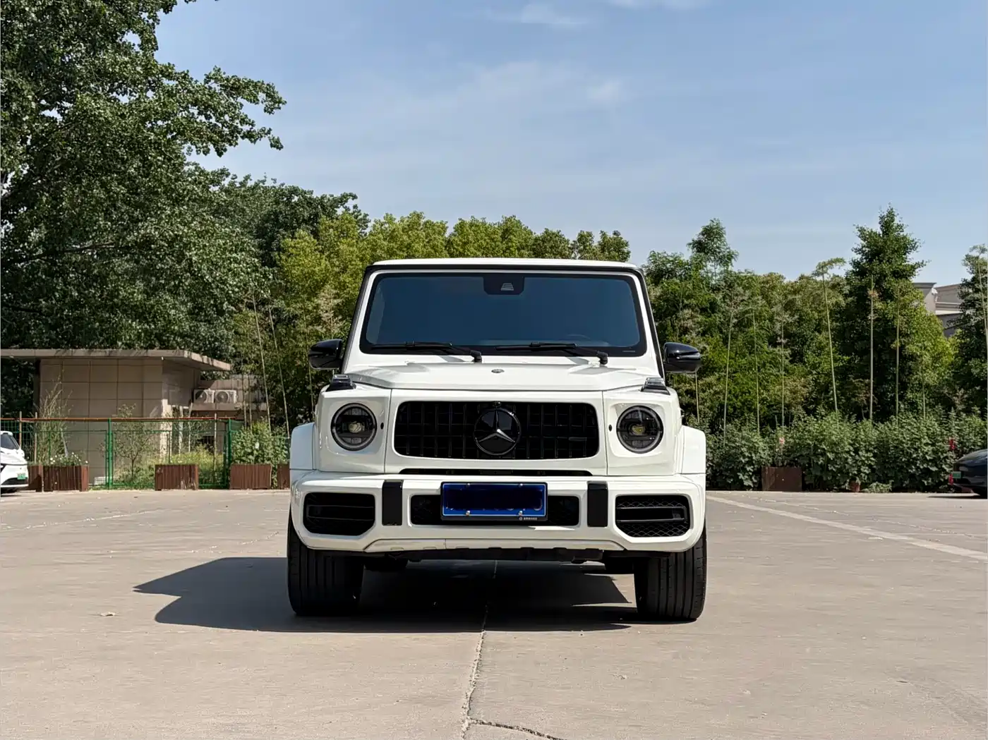 Mercedes-Benz G-Class 2020 G 350 фото 21