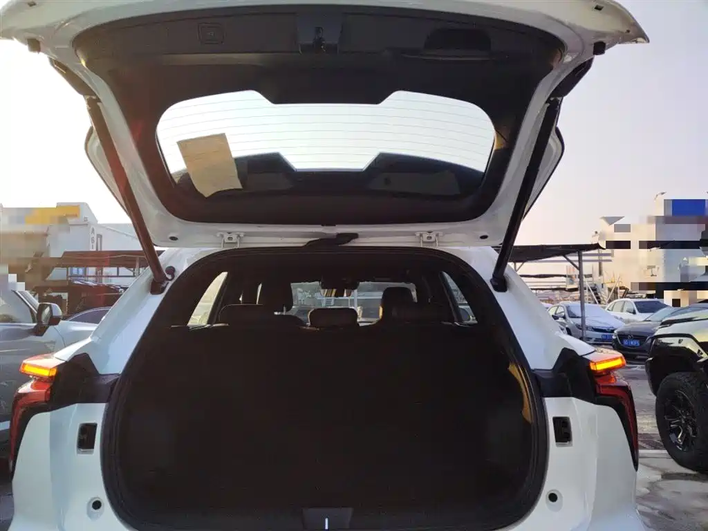 Haval Shenshou 2023 1.5T Smart Enjoy Edition фото 9