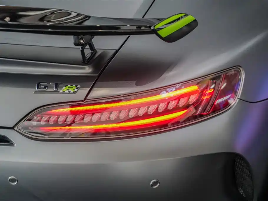Mercedes-Benz AMG GT 2019 AMG GT R PRO фото 10