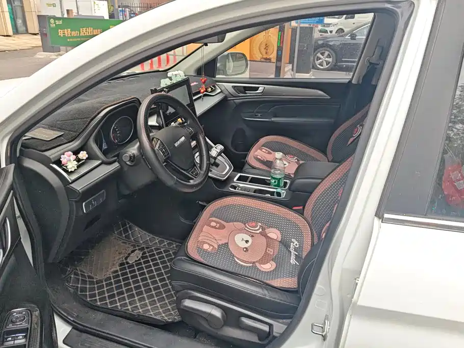 Photo 8 - Haval M6