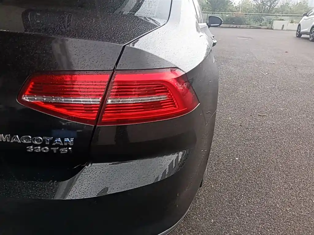 Volkswagen Magotan 2019 330TSI DSG Luxury China V фото 8