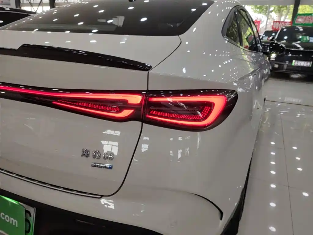 BYD Seal 06 New Energy 2025 DM-i Smart Drive 80KM Luxury фото 8
