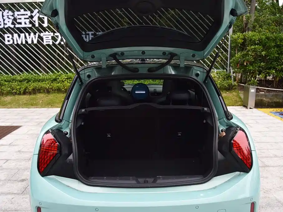 MINI MINI 2025 2025 2.0T COOPER S Artist
