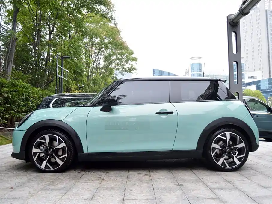 MINI MINI 2025 2025 2.0T COOPER S Artist