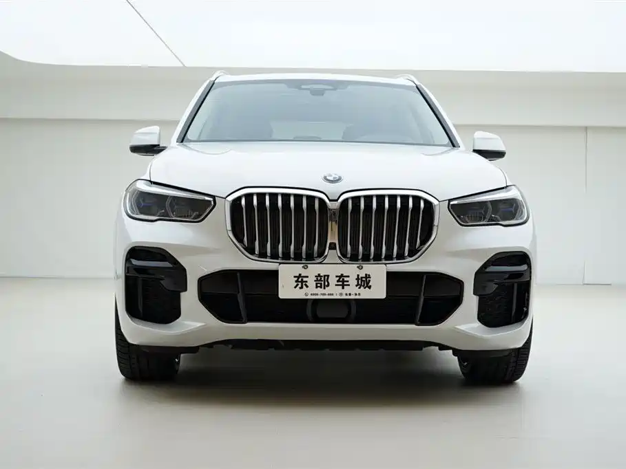 BMW X5 (Import) 2022 xDrive40i Premium M Sport Package фото 2