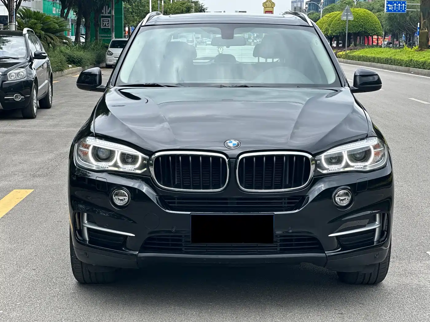 BMW X5 (Import) 2014 xDrive35i Elegance фото 2