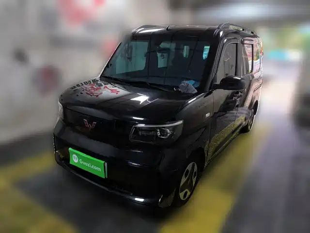  Wuling Motors Wuling Zhiguang NEV 2025 Model 305km Base Version