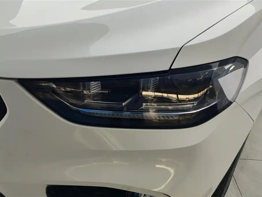 WEI PAI WEI BRAND VV5