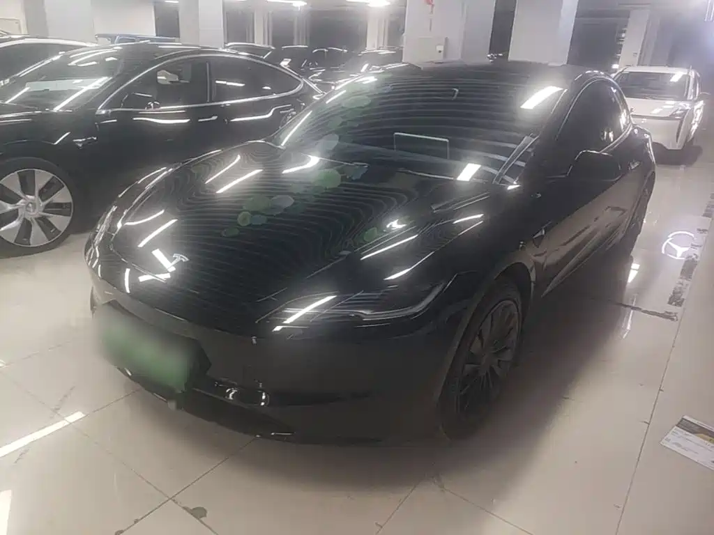 Tesla Model 3 2025 Model Rear-Wheel Drive Edition