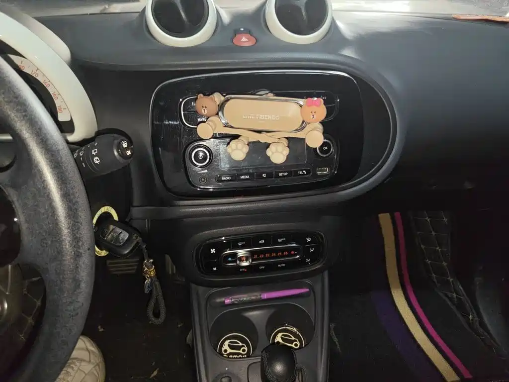 Фото 6 - smart forfour