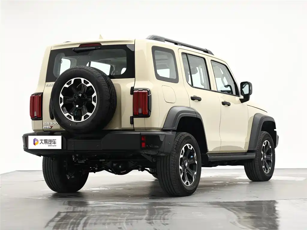 Tank 300 New Energy 2025 Hi4-T 36.7kWh Edition фото 3