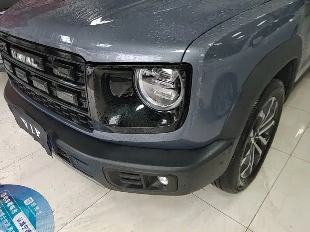 Фото 24 - Haval Dargo