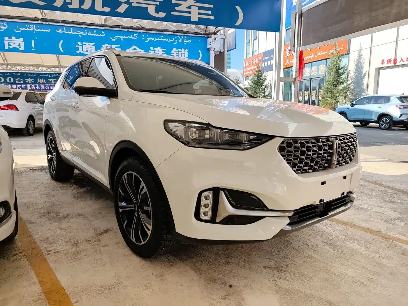 WEI PAI WEI BRAND VV6