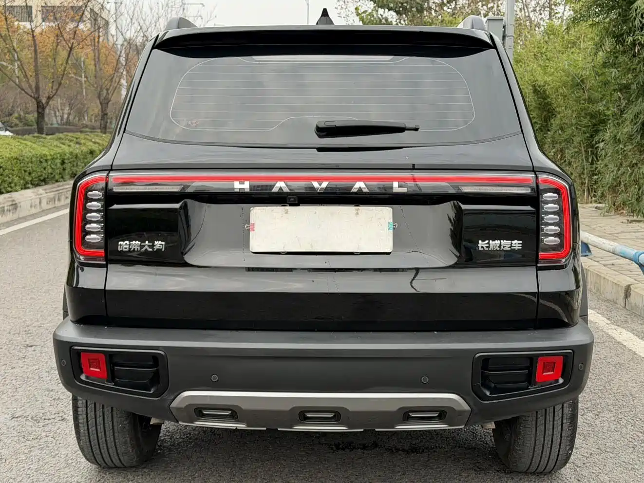 Haval Big Dog 2024 1.5T DCT Border Collie Edition фото 24