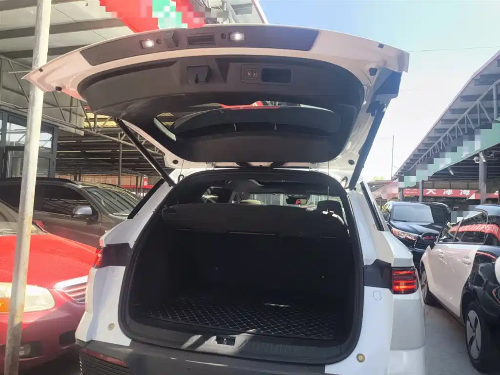 BYD Song Pro New Energy 2024 Glory Edition DM-i 110KM Excellence фото 19