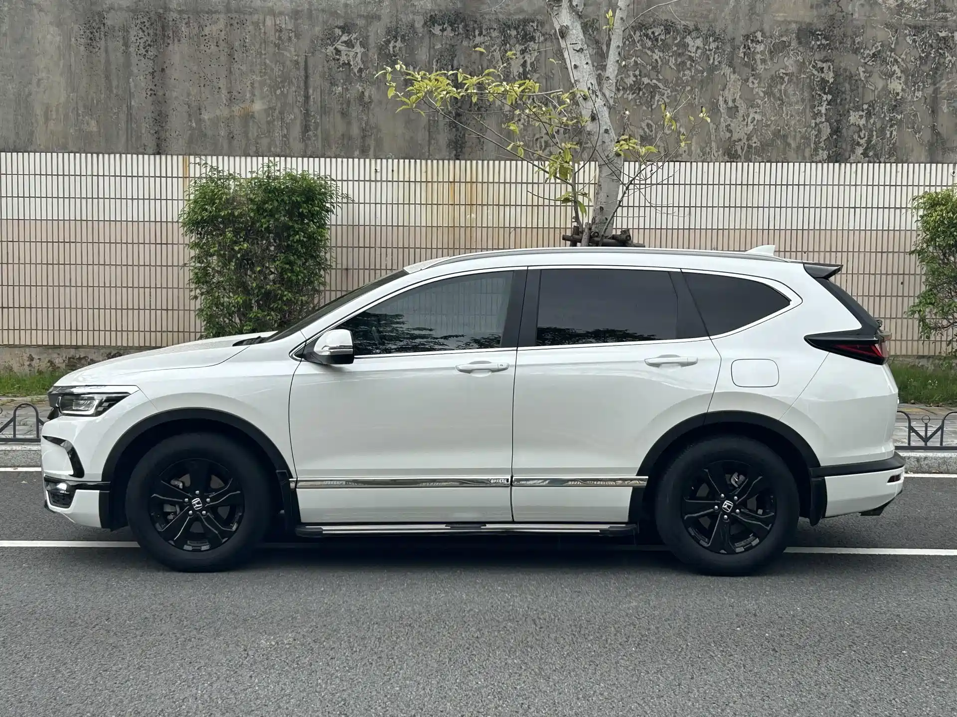 Фото 8 - Honda Breeze