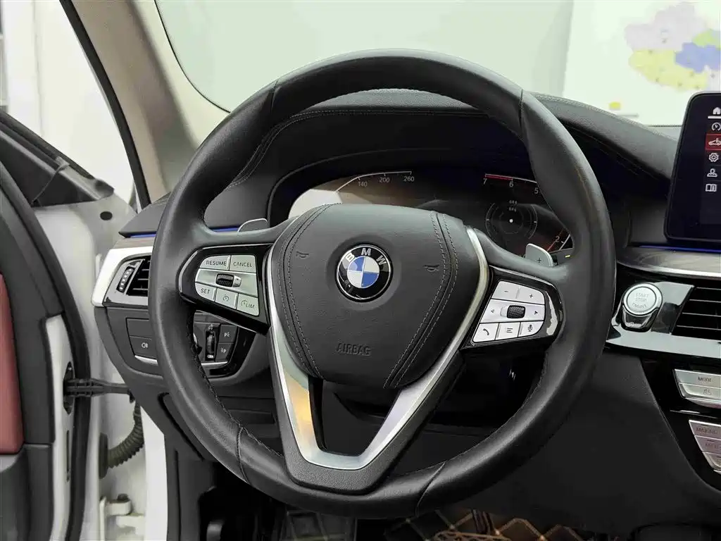 BMW 5 Series 2021 530Li Premium Luxury Package фото 12