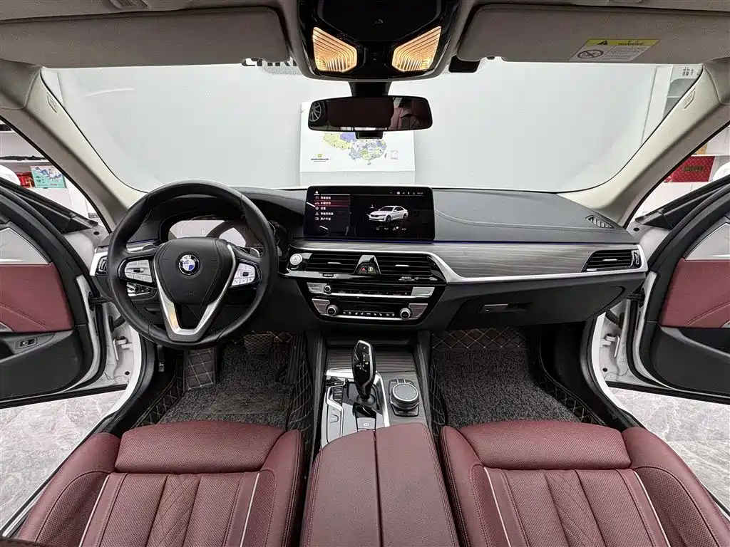 BMW 5 Series 2021 530Li Premium Luxury Package фото 9