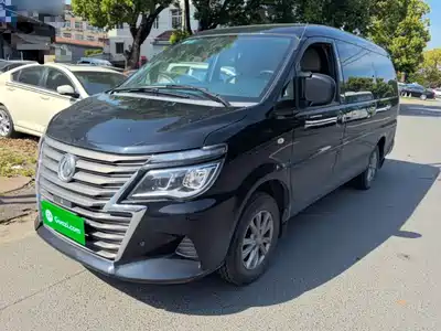 Forthing Lingzhi
