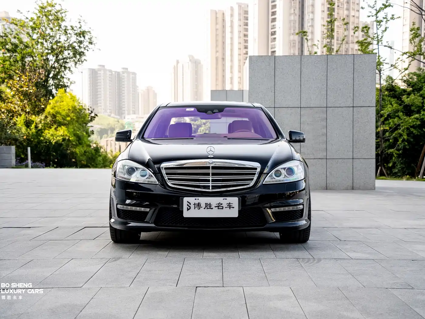 Mercedes-Benz S-Class AMG 2010 AMG S 65 фото 2