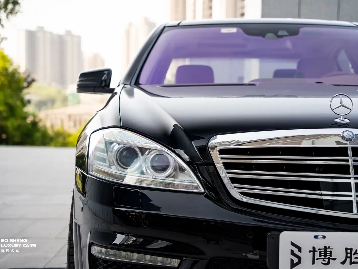Mercedes-Benz S-Class AMG 2010 AMG S 65 фото 30