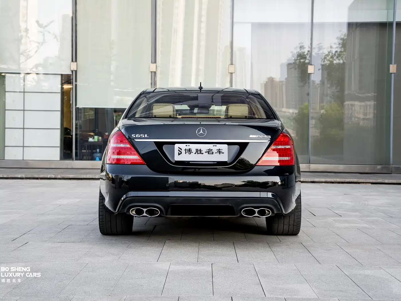 Mercedes-Benz S-Class AMG 2010 AMG S 65 фото 6
