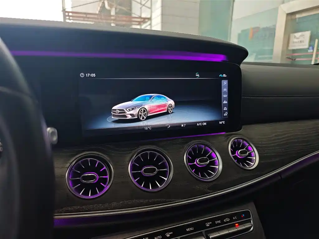Mercedes-Benz CLS 2018 CLS 300 Luxury фото 13