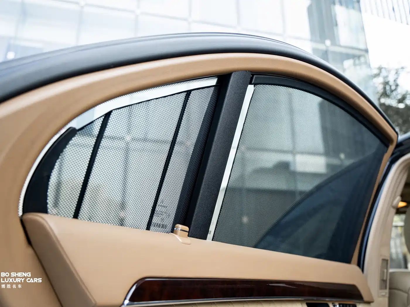 Mercedes-Benz S-Class AMG 2010 AMG S 65 фото 21