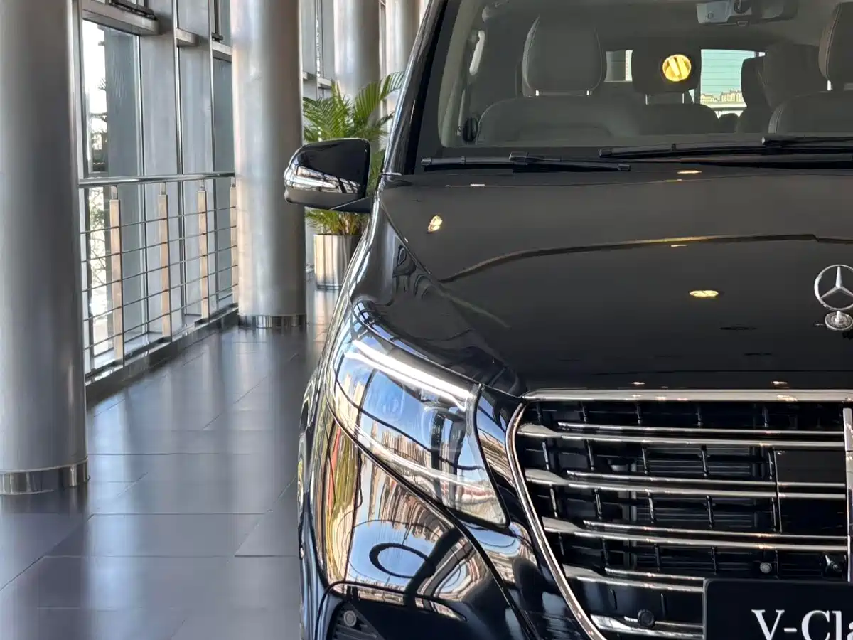 Mercedes-Benz V-Class 2024 V 300 L Long Wheelbase Luxury Edition фото 6
