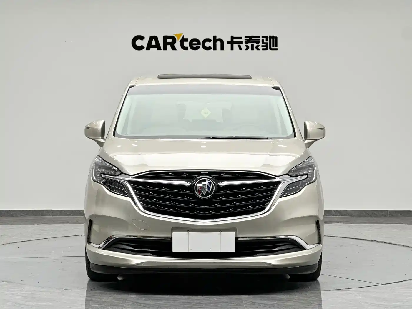 Buick GL8 2022 ES Landmark 653T Comfort фото 2
