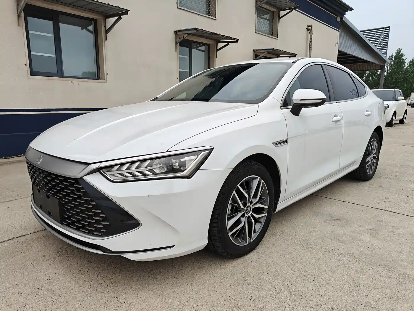 BYD Qin PLUS 2023 Champion Edition DM-i 55KM Surpassing