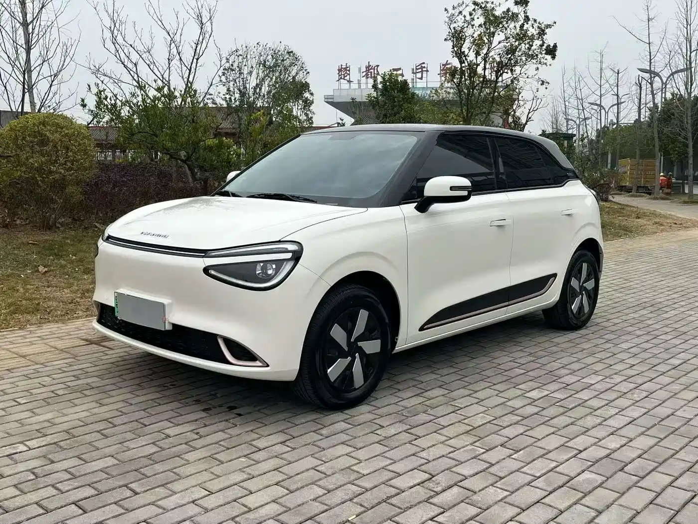 Dongfeng Yipai Nano 01 2024 Renewal Edition 330 Air